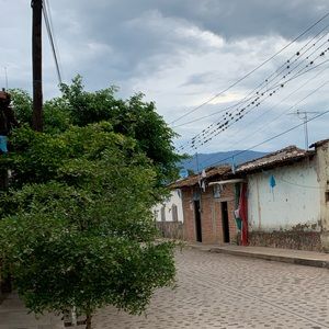 Meet your Posher, Nelida